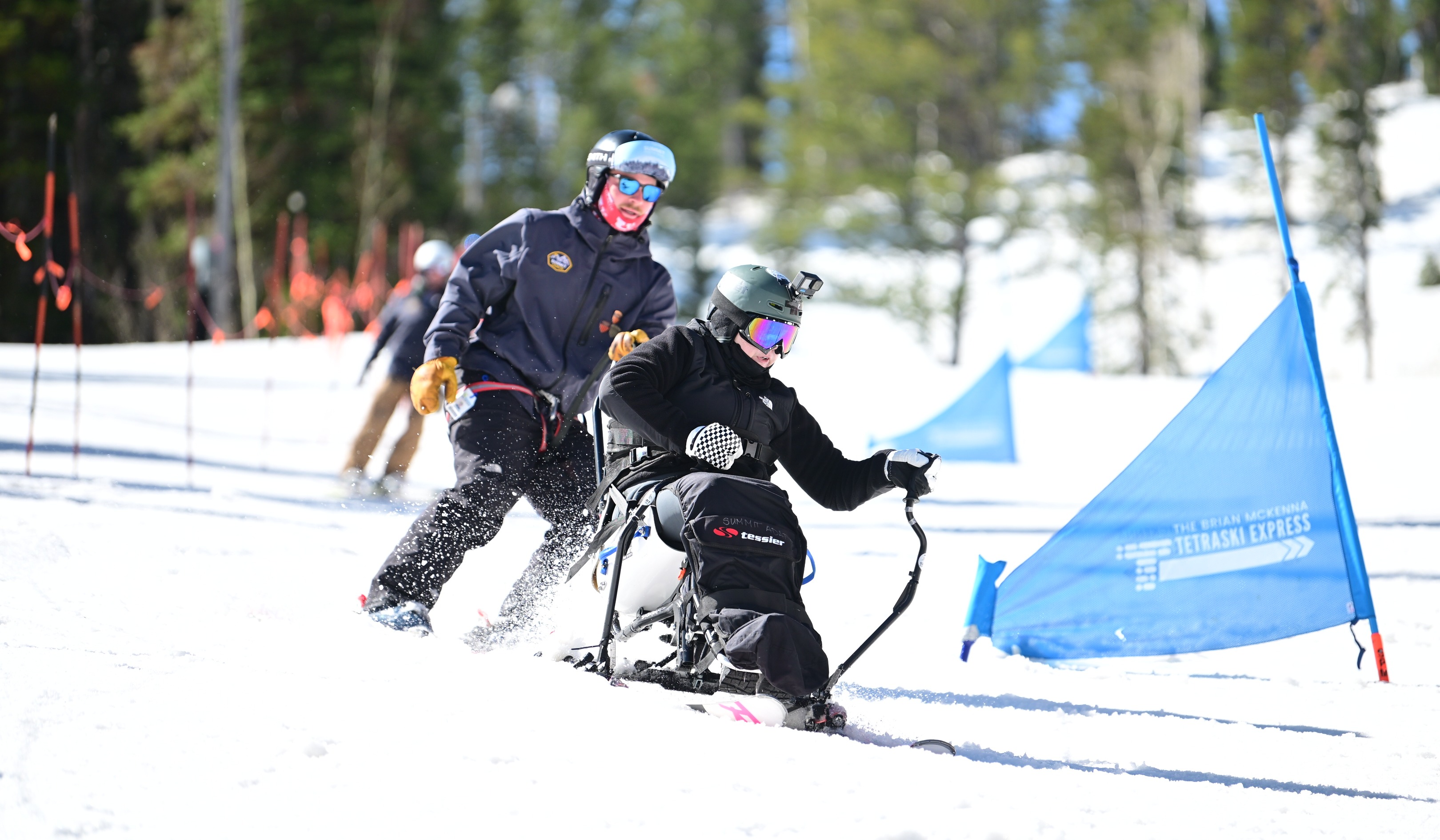 DSC_0437 (1)-1