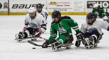 Sports Association_Competitive Sports_sled hockey