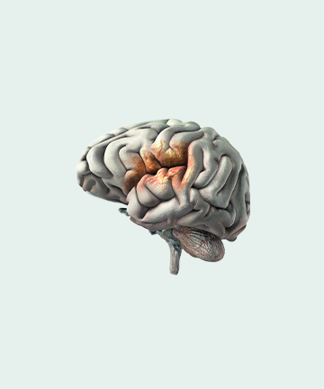 brain