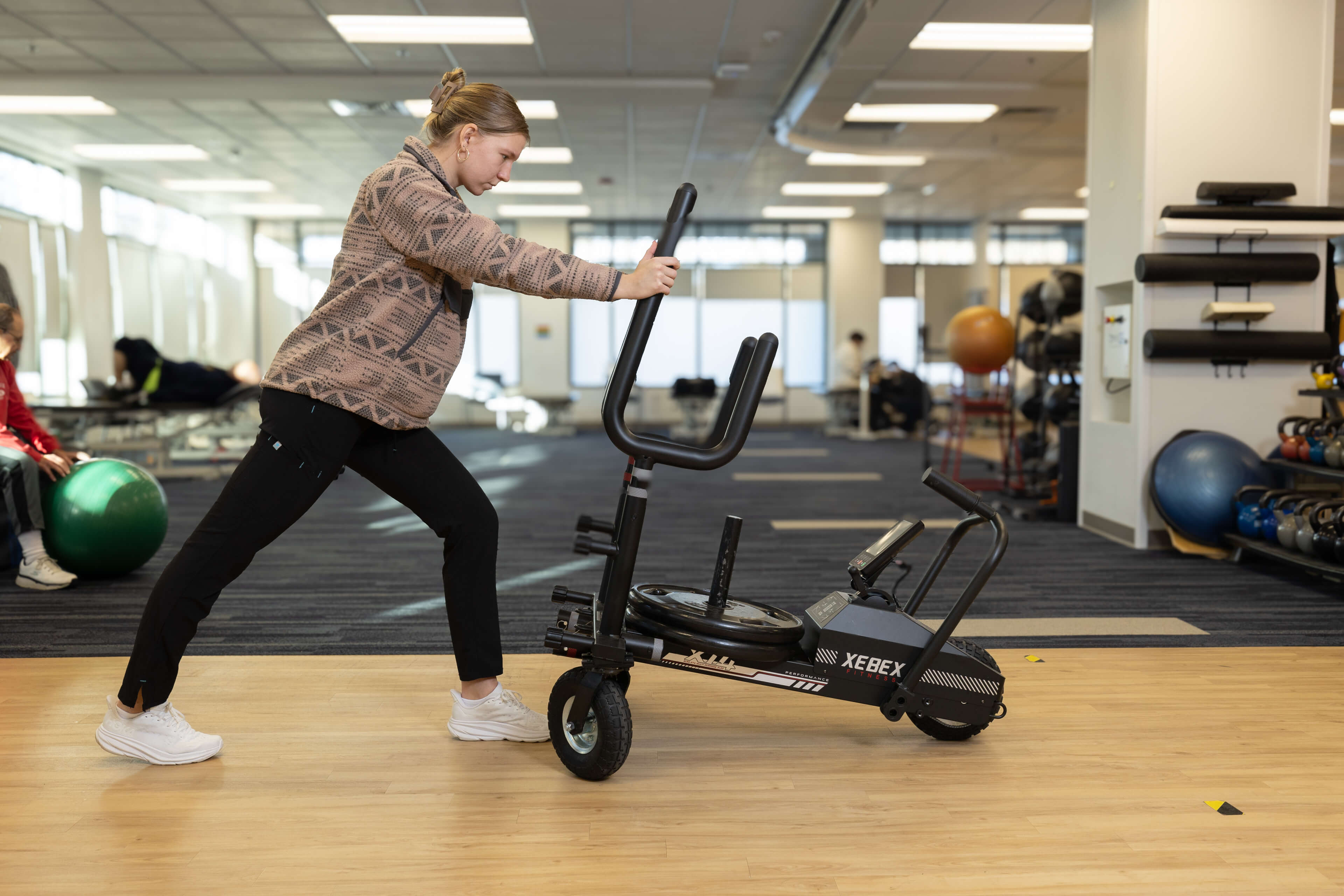 north_haven_pt_tech_physical_therapy