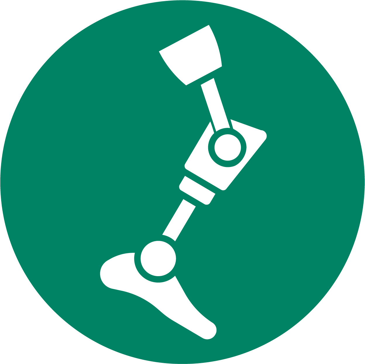 Website Icons 2023 Nextiny_Prosthetic and Orthotic Care