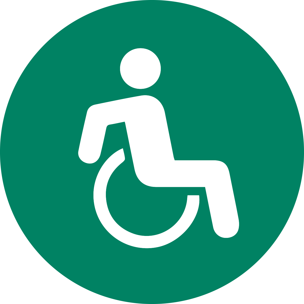 Wheelchair Assessment_website icon